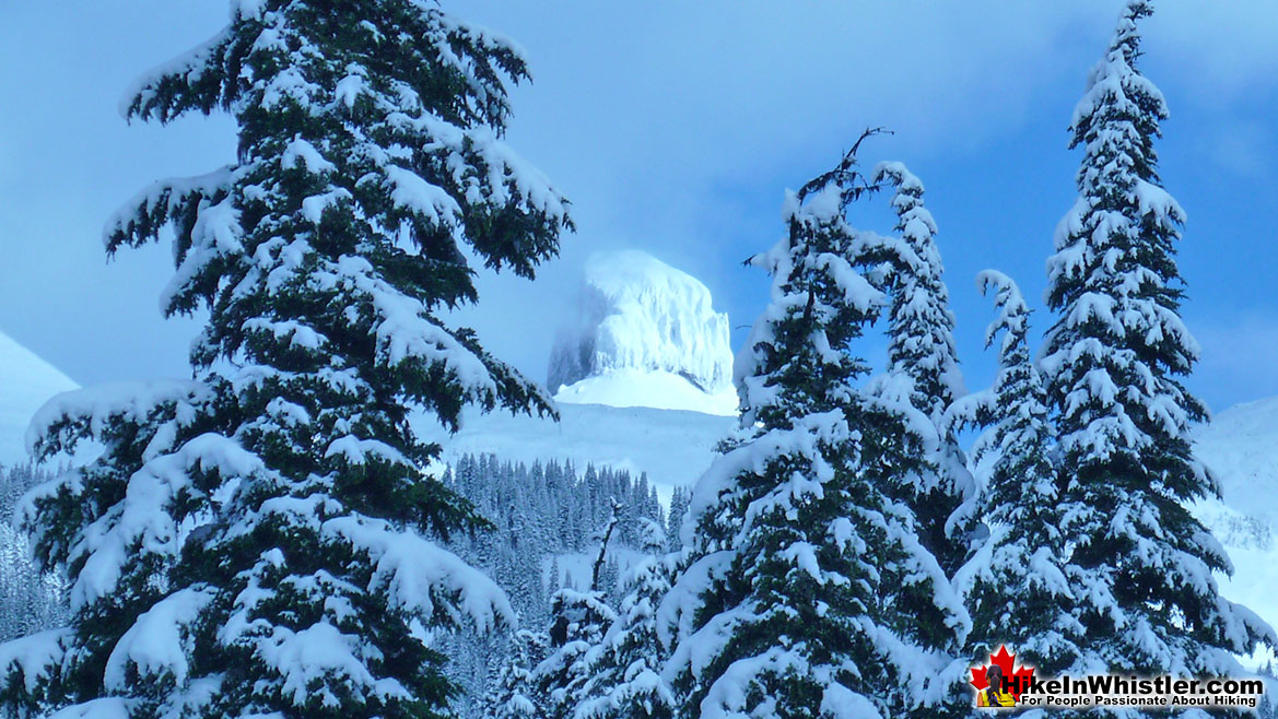 Snowshoeing Taylor Meadows Hike in Whistler November