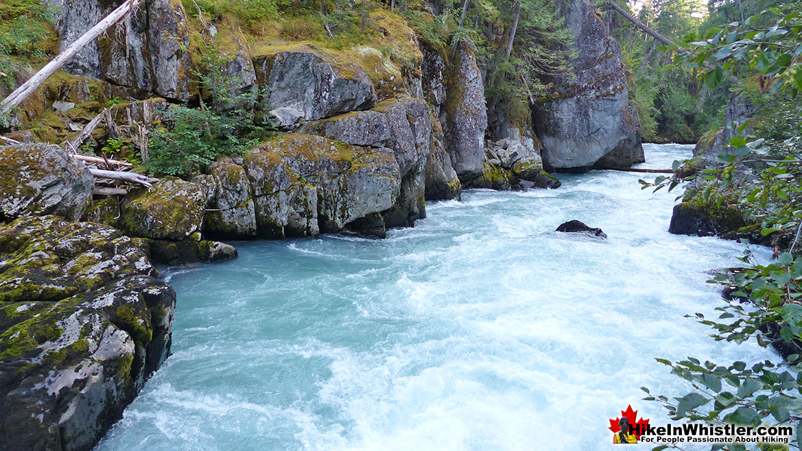 Sea to Sky Trail Cheakamus River