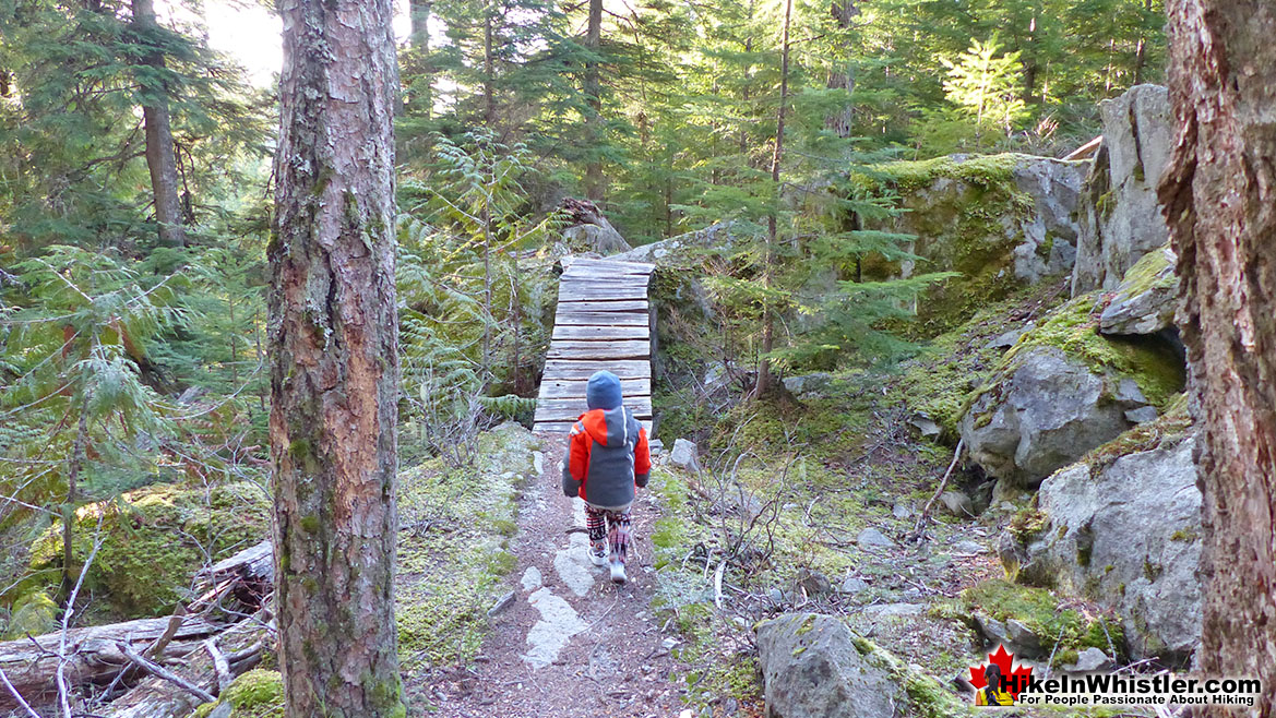 Whistler Train Wreck Trail