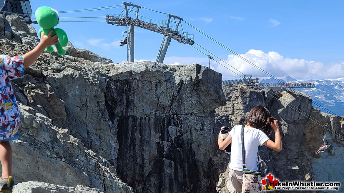 Whistler Mountain Summit Trail