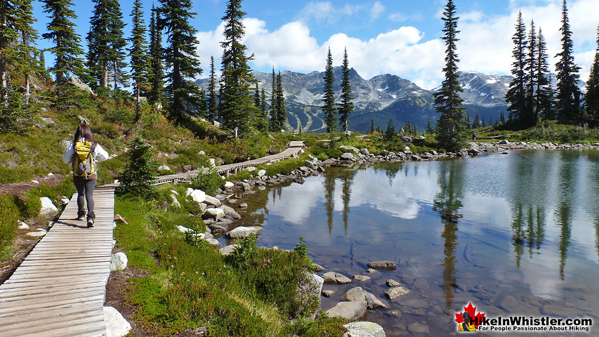 Harmony Lake Loop Trail on Whistler Mountain