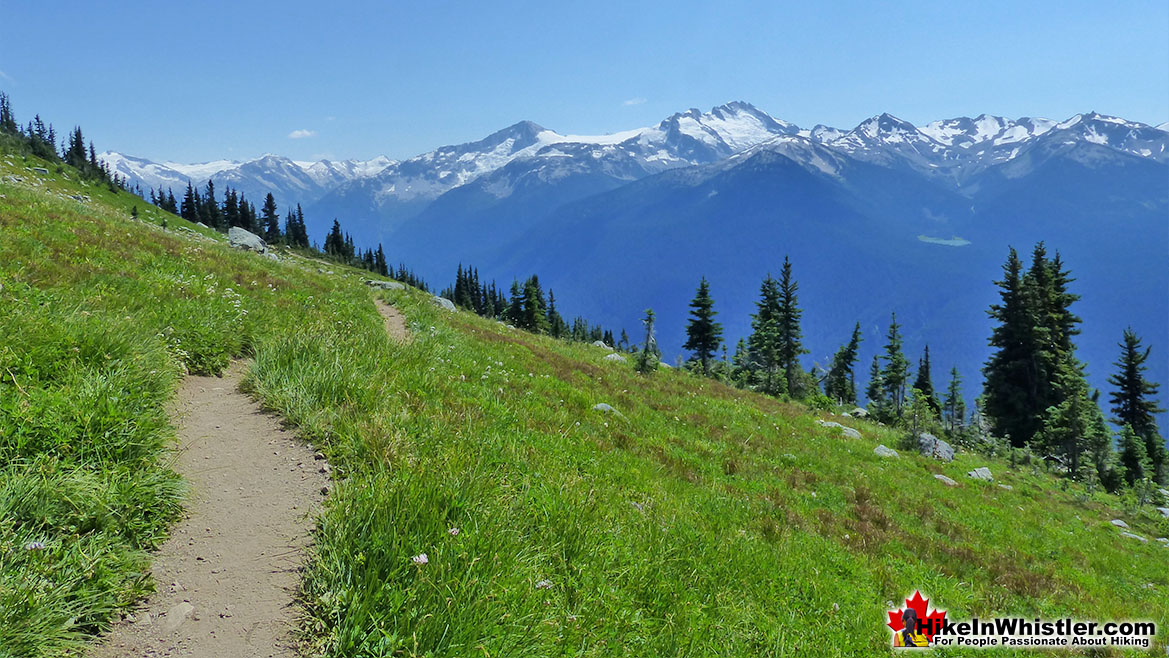 Whistler Mountain High Note Trail